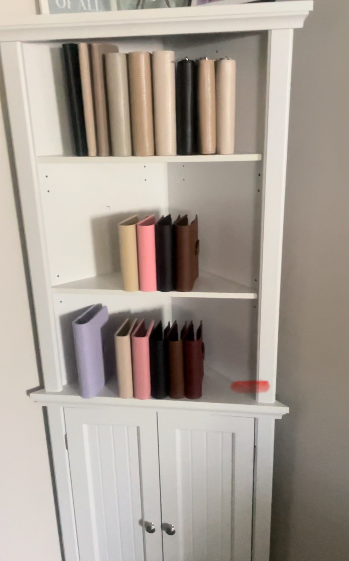 Cash budgeting binder collection displayed on a shelf in every size and color