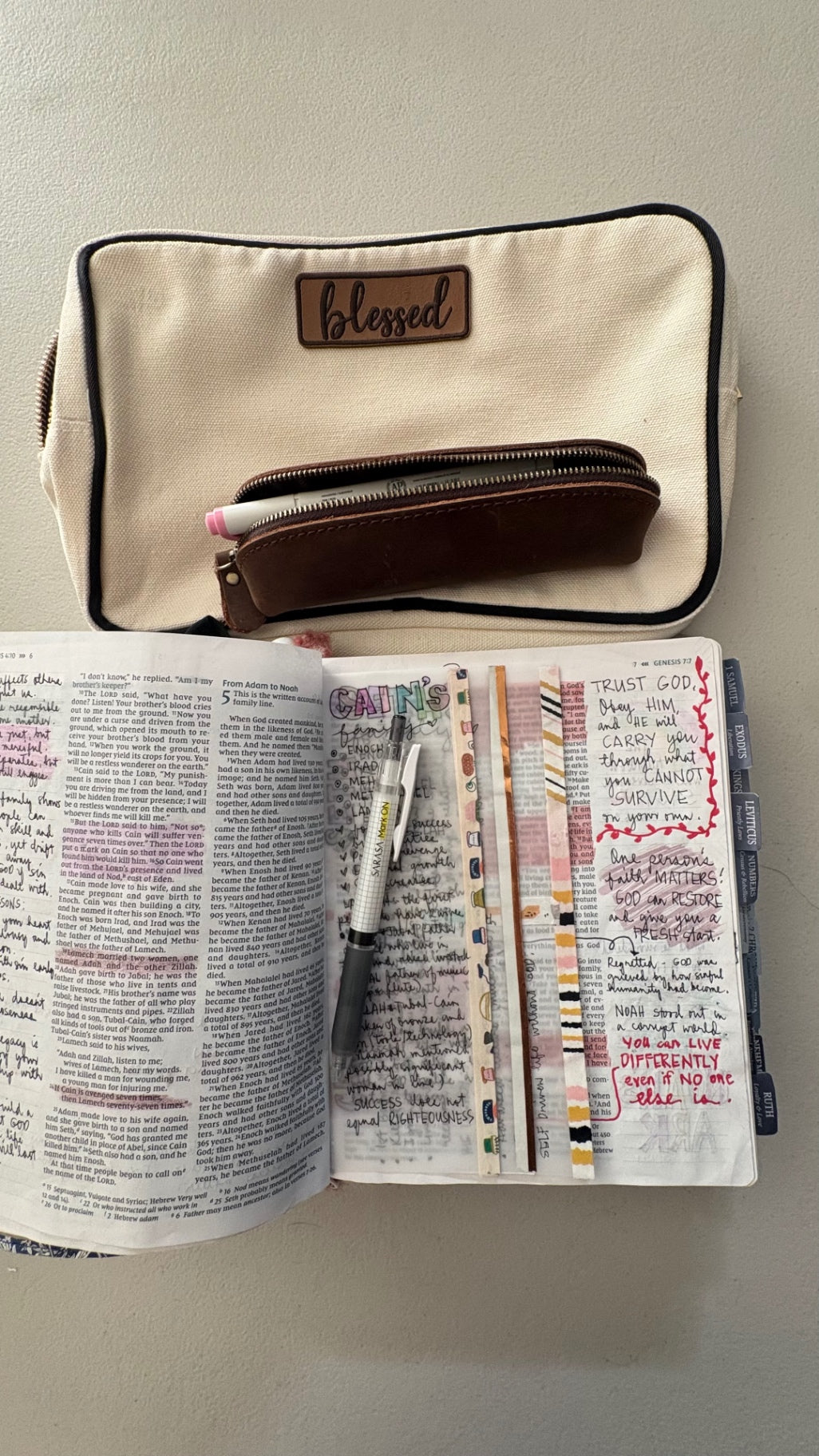 Large Blessed Bible Bag with journaling Bible